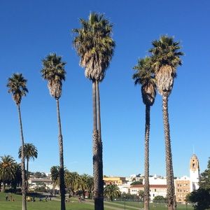 Meet your Posher, Aleksandra